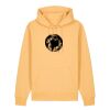 Unisex Cruiser 2.0 iconic hoodie sweatshirt (STSU177) Thumbnail
