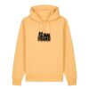 Unisex Cruiser 2.0 iconic hoodie sweatshirt (STSU177) Thumbnail